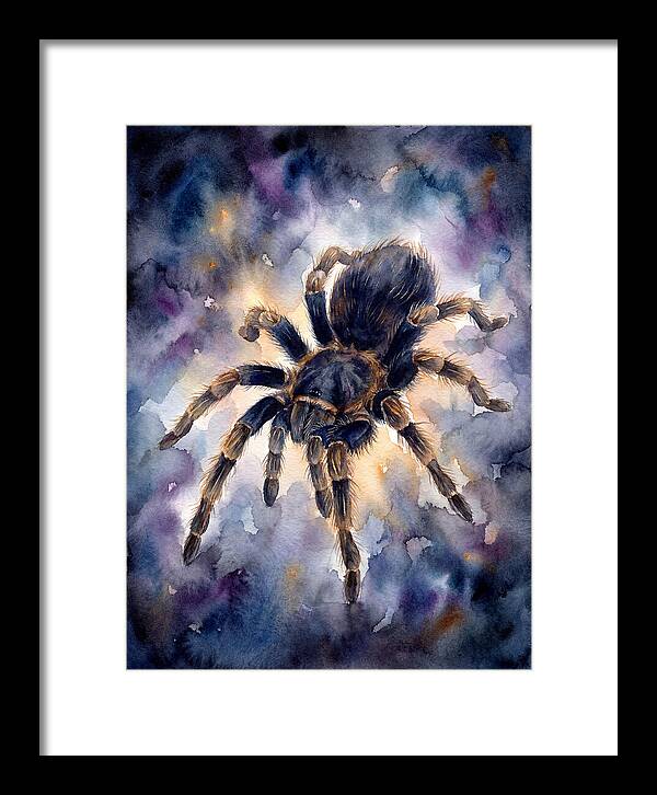 Tarantula Watercolor Exploration