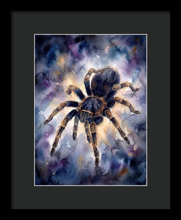 Tarantula Watercolor Exploration