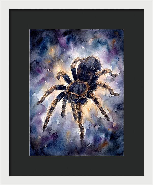 Tarantula Watercolor Exploration