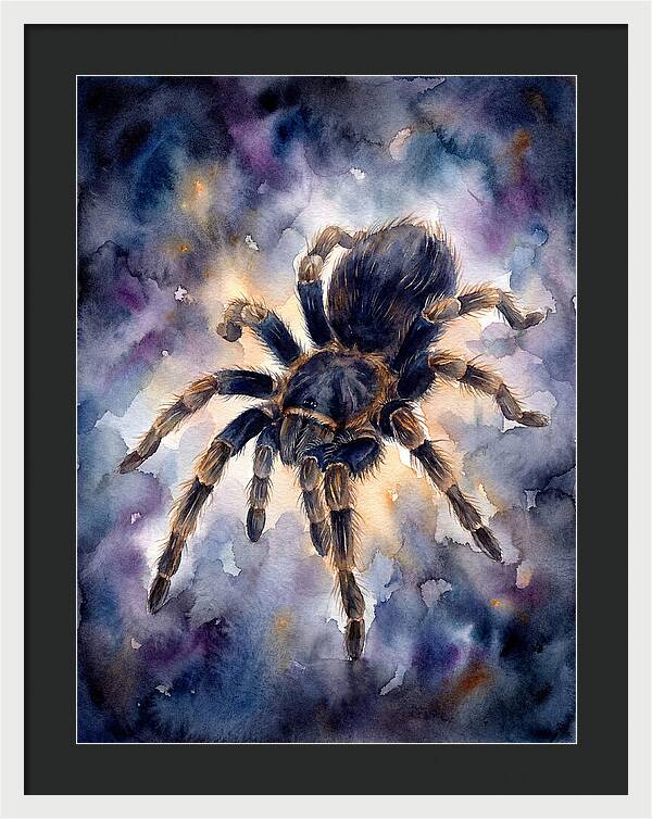 Tarantula Watercolor Exploration