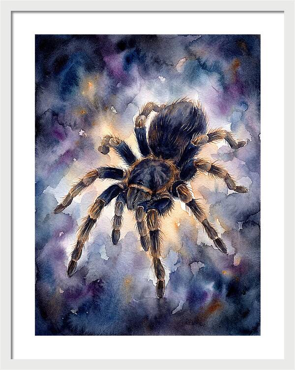 Tarantula Watercolor Exploration