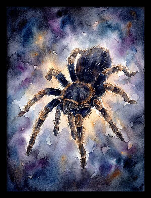 Tarantula Watercolor Exploration