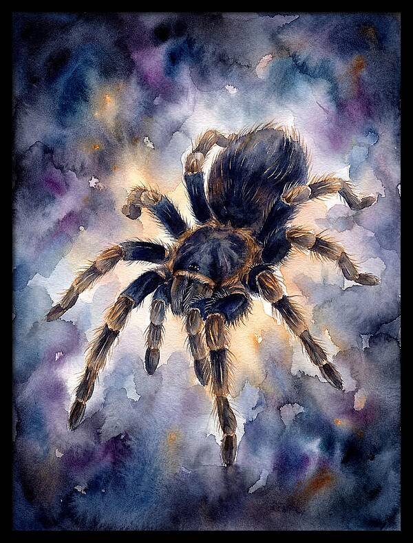 Tarantula Watercolor Exploration