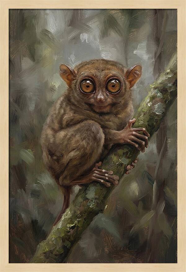Tarsier In The Forest