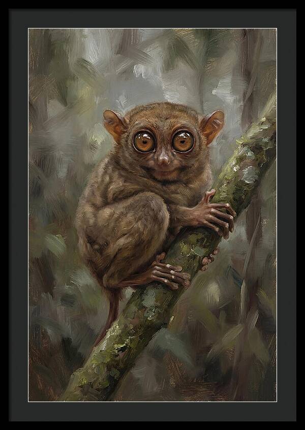Tarsier In The Forest