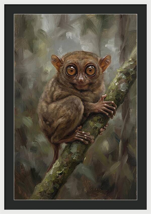 Tarsier In The Forest