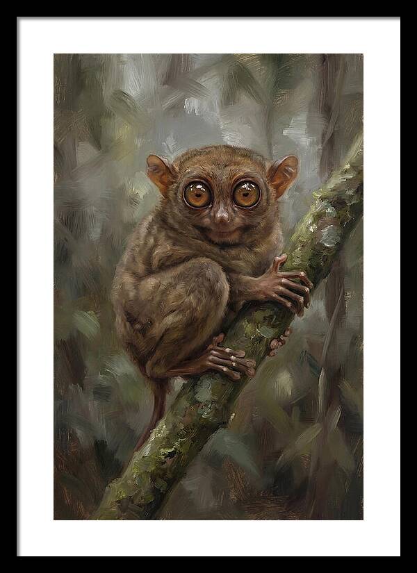 Tarsier In The Forest