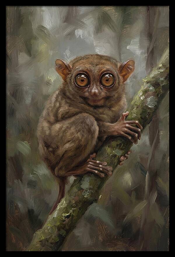Tarsier In The Forest