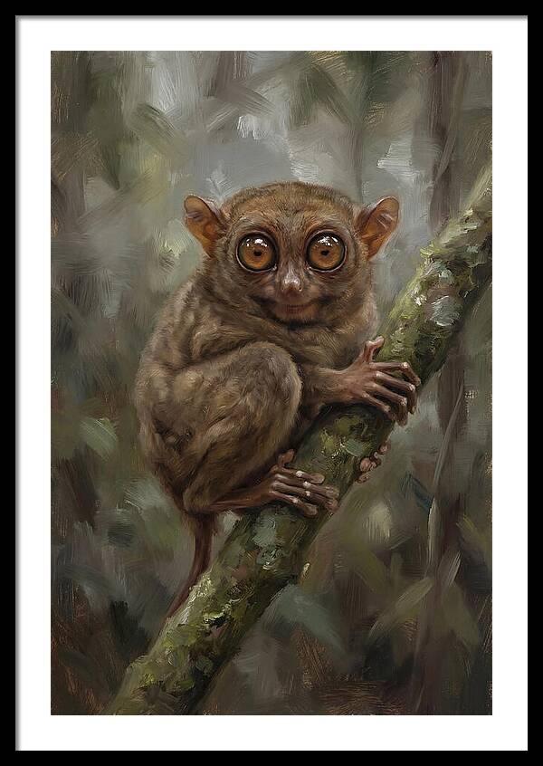 Tarsier In The Forest