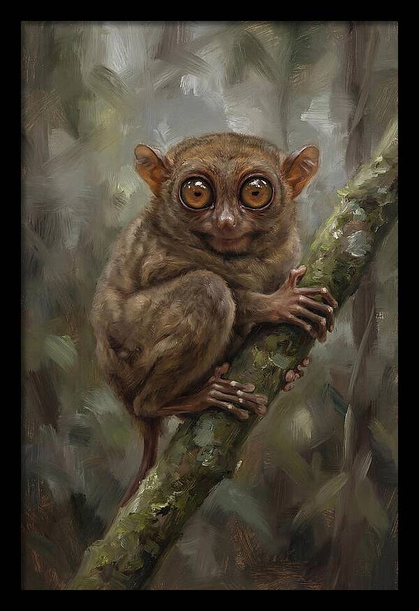 Tarsier In The Forest