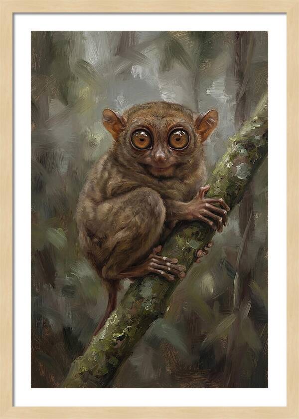 Tarsier In The Forest