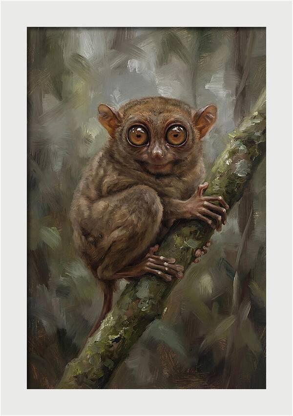 Tarsier In The Forest