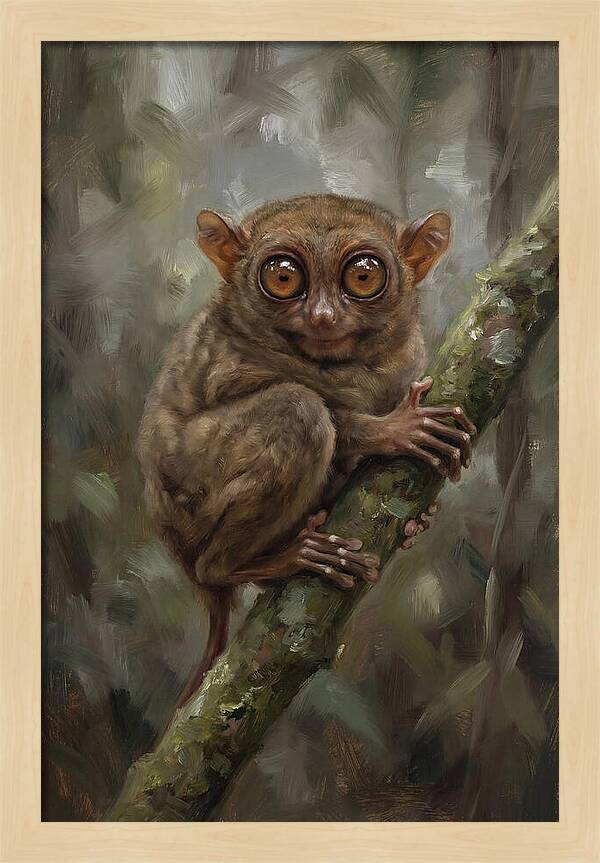 Tarsier In The Forest