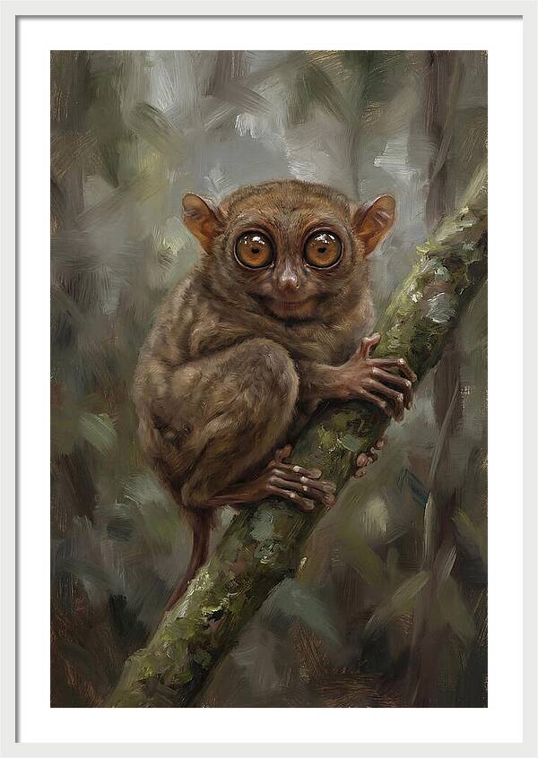 Tarsier In The Forest