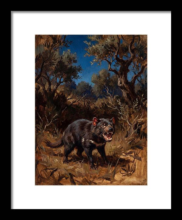 Tasmanian Devil In The Wild