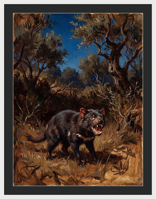Tasmanian Devil In The Wild