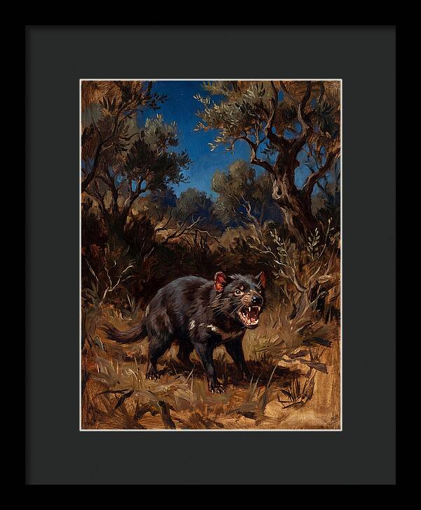 Tasmanian Devil In The Wild