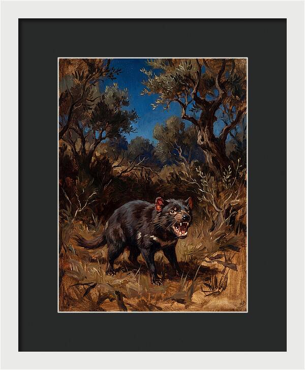 Tasmanian Devil In The Wild