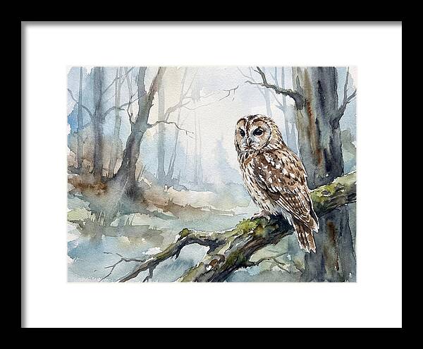 Tawny Owl In Misty Forest