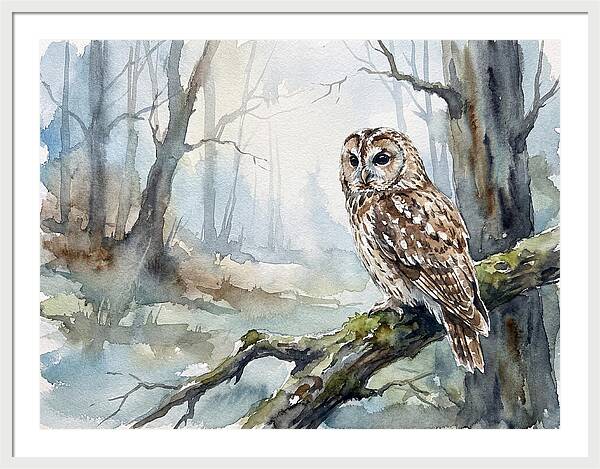 Tawny Owl In Misty Forest