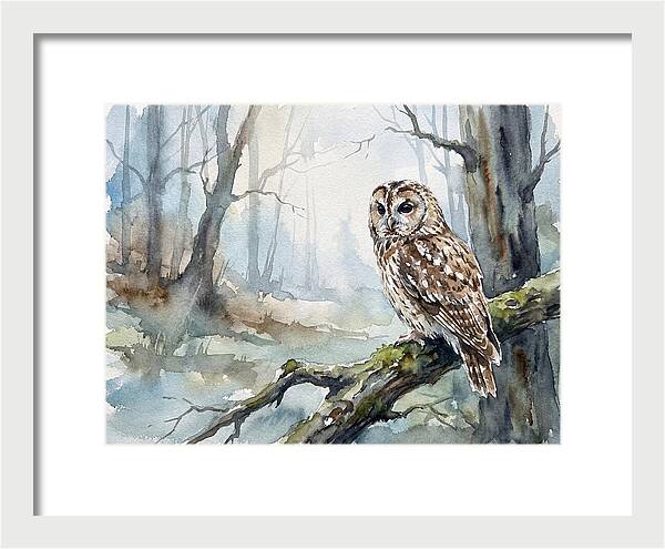 Tawny Owl In Misty Forest