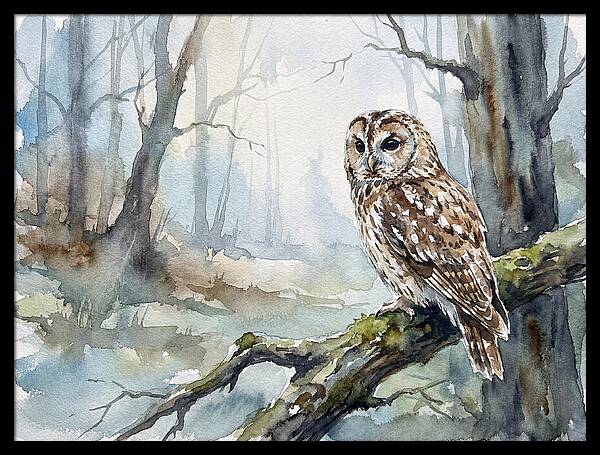 Tawny Owl In Misty Forest