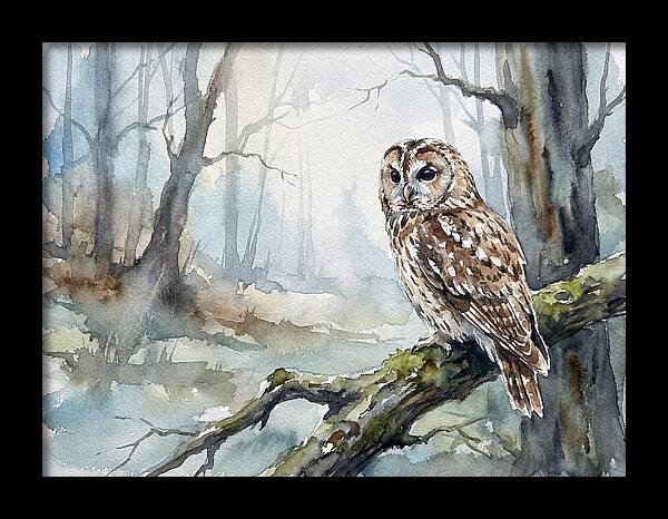 Tawny Owl In Misty Forest