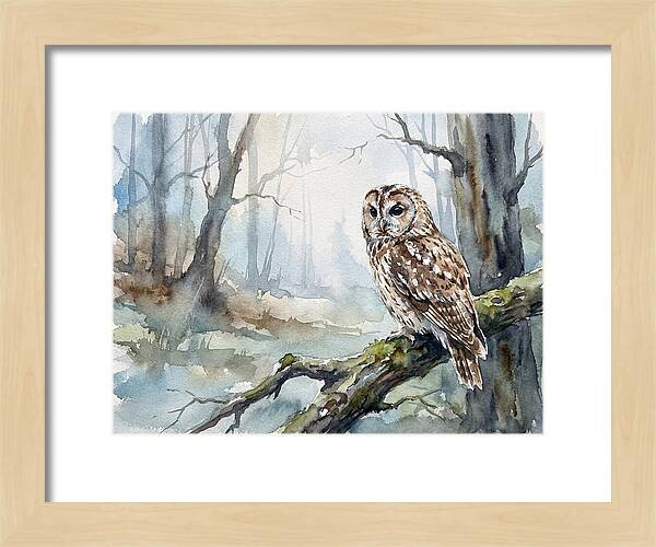 Tawny Owl In Misty Forest
