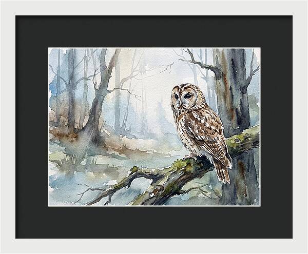 Tawny Owl In Misty Forest