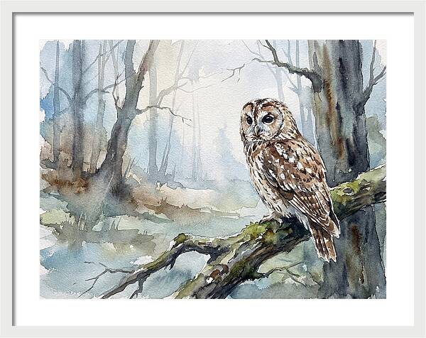 Tawny Owl In Misty Forest