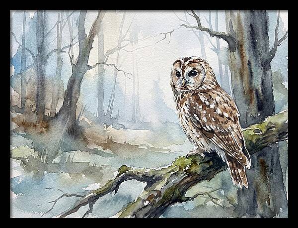 Tawny Owl In Misty Forest