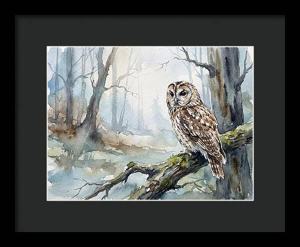 Tawny Owl In Misty Forest