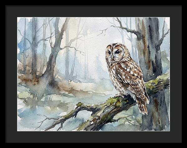 Tawny Owl In Misty Forest