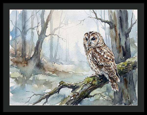 Tawny Owl In Misty Forest