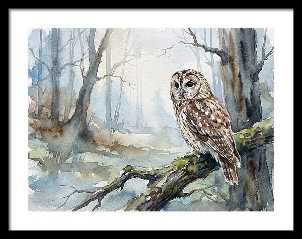 Tawny Owl In Misty Forest