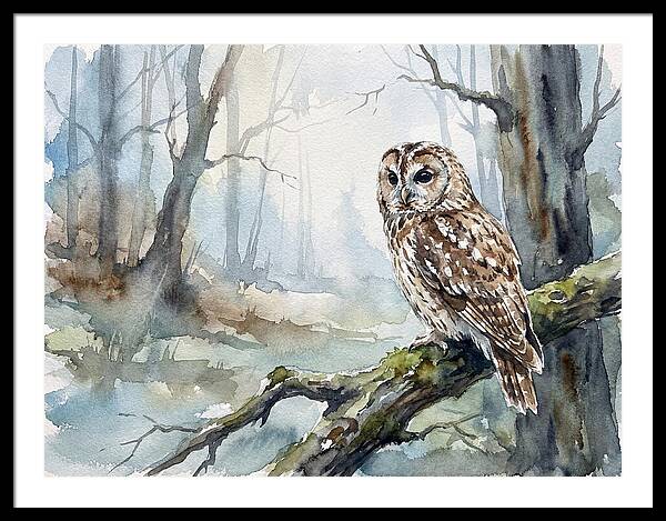 Tawny Owl In Misty Forest