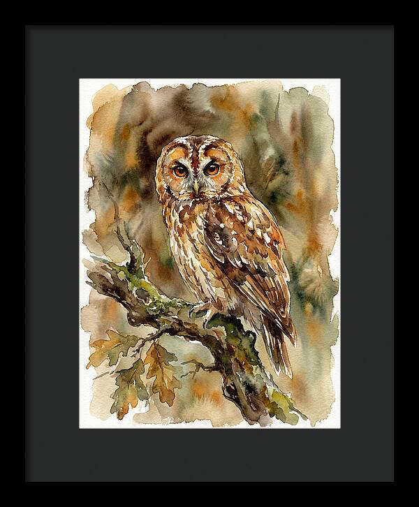 Tawny Owl Perched Gracefully