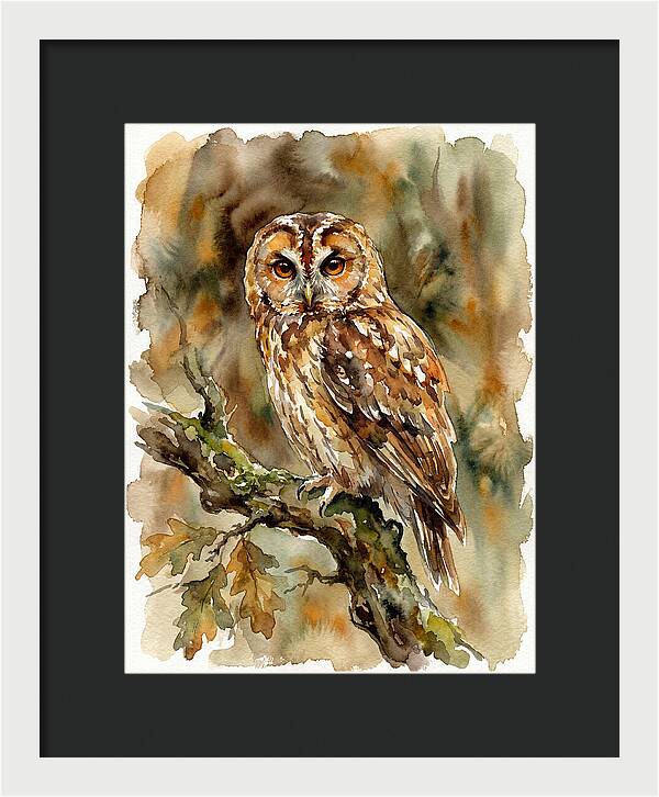 Tawny Owl Perched Gracefully