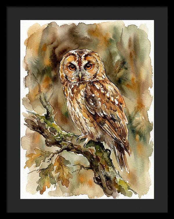 Tawny Owl Perched Gracefully