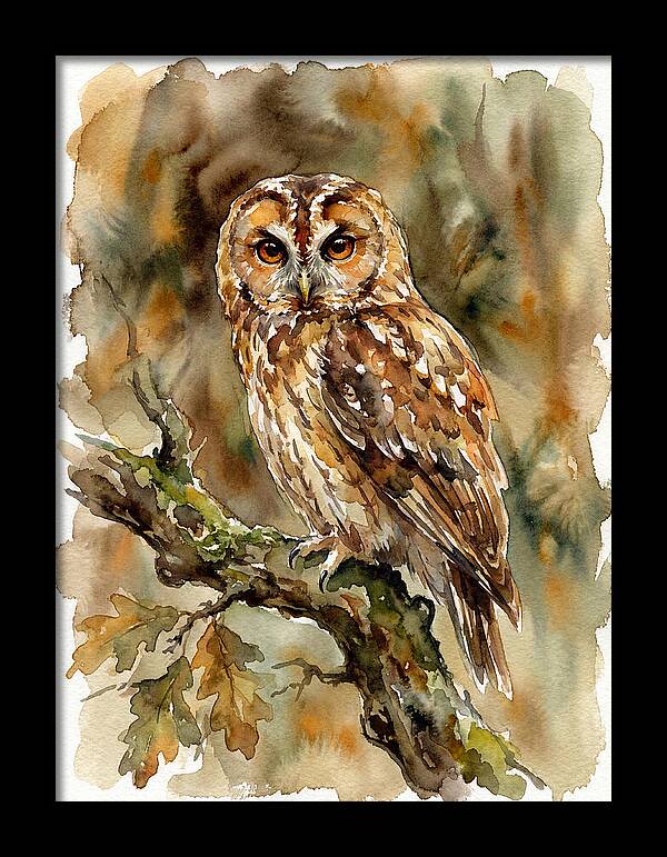 Tawny Owl Perched Gracefully