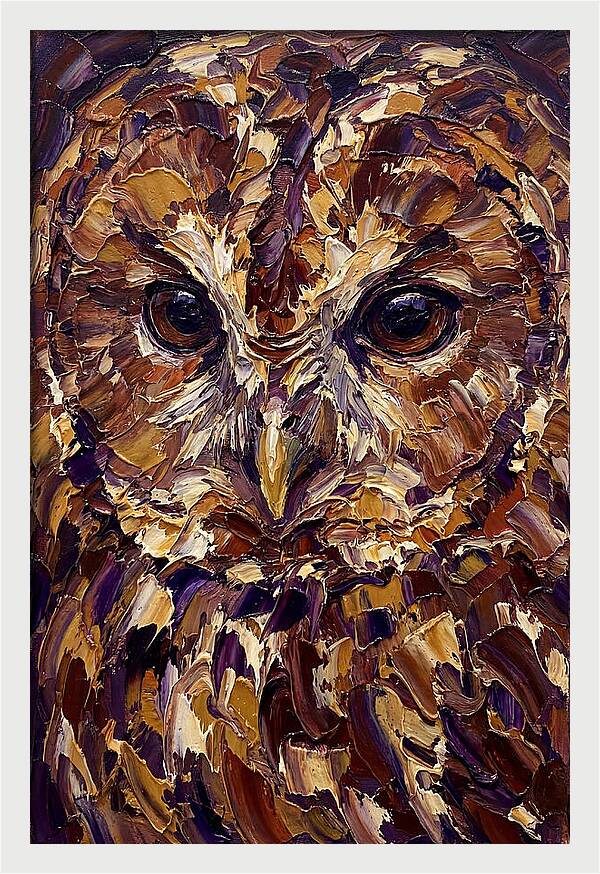 Tawny Owl Portrait In Palette Knife Style