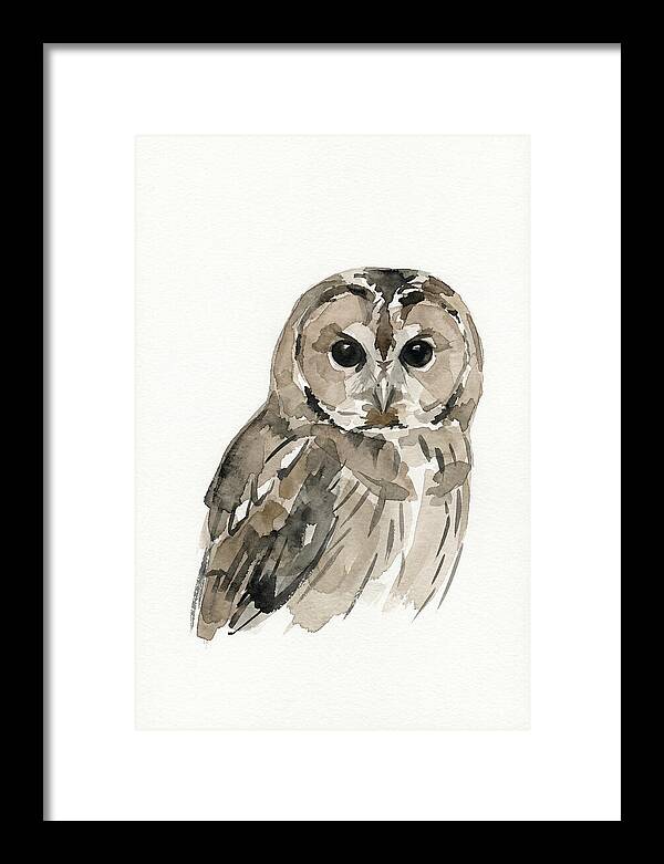 Tawny Owl Portrait