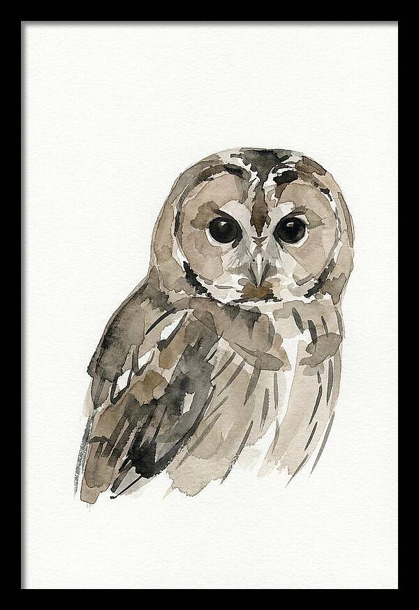 Tawny Owl Portrait