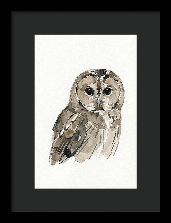 Tawny Owl Portrait