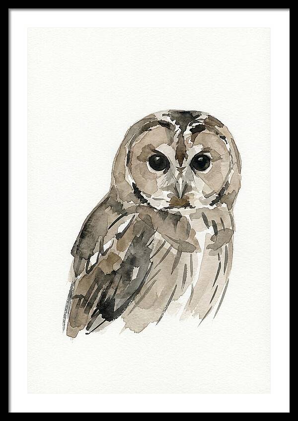 Tawny Owl Portrait