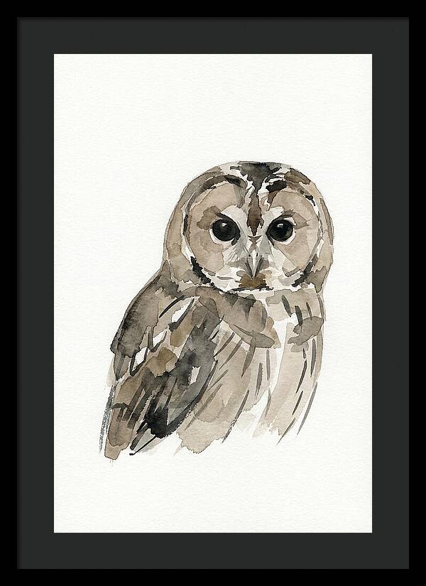 Tawny Owl Portrait