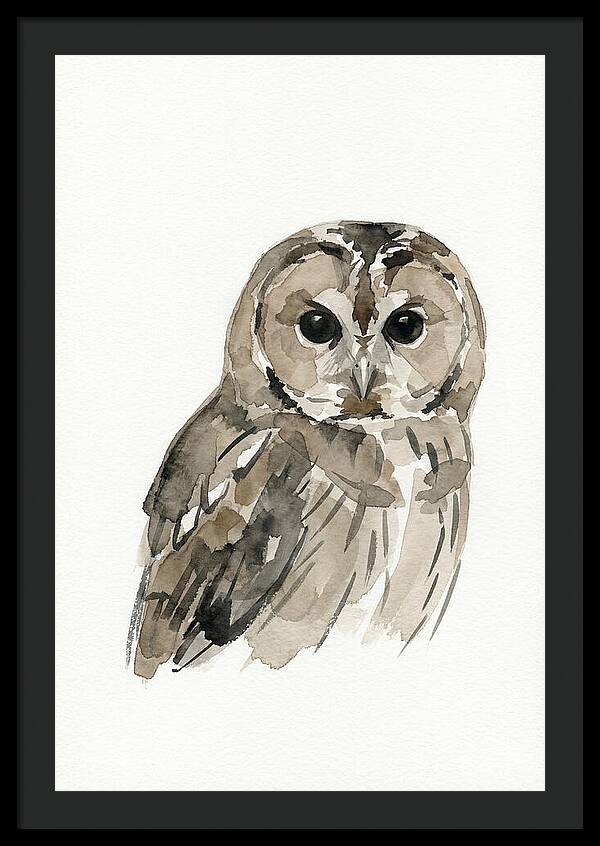 Tawny Owl Portrait