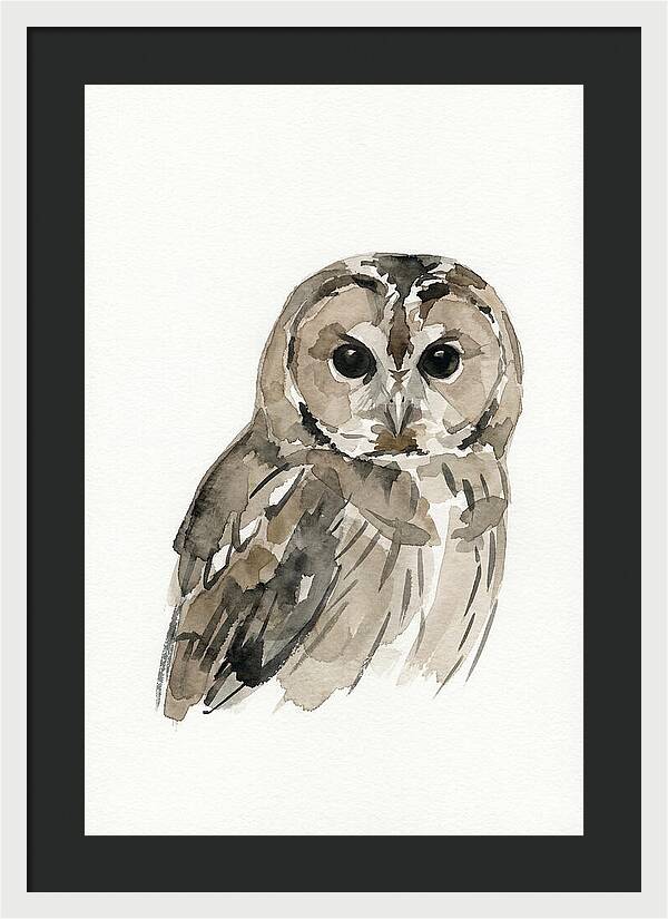 Tawny Owl Portrait