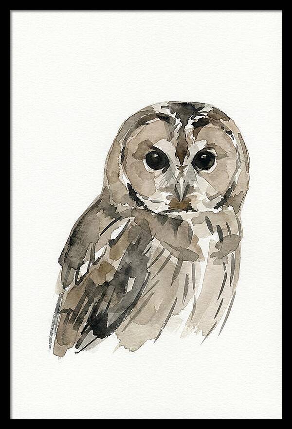 Tawny Owl Portrait