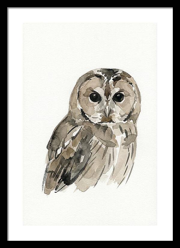 Tawny Owl Portrait